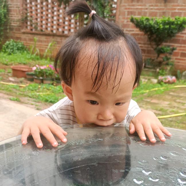 大茉公主