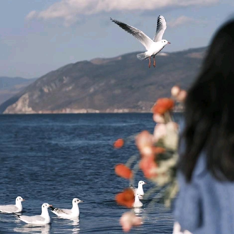 Forever ℡♥♬ ♬