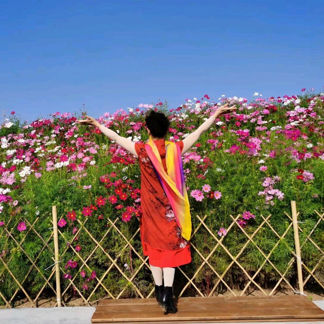 莺莺🍎（谢绝连赞超过三个）