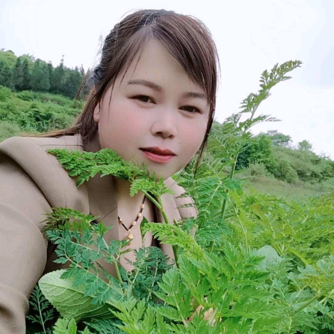 小刘天麻土特产