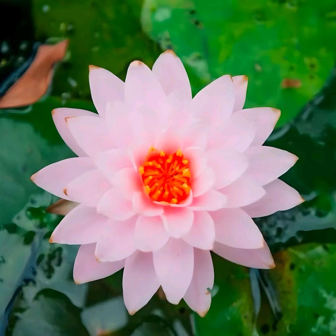 舞阳县雅英萱百货