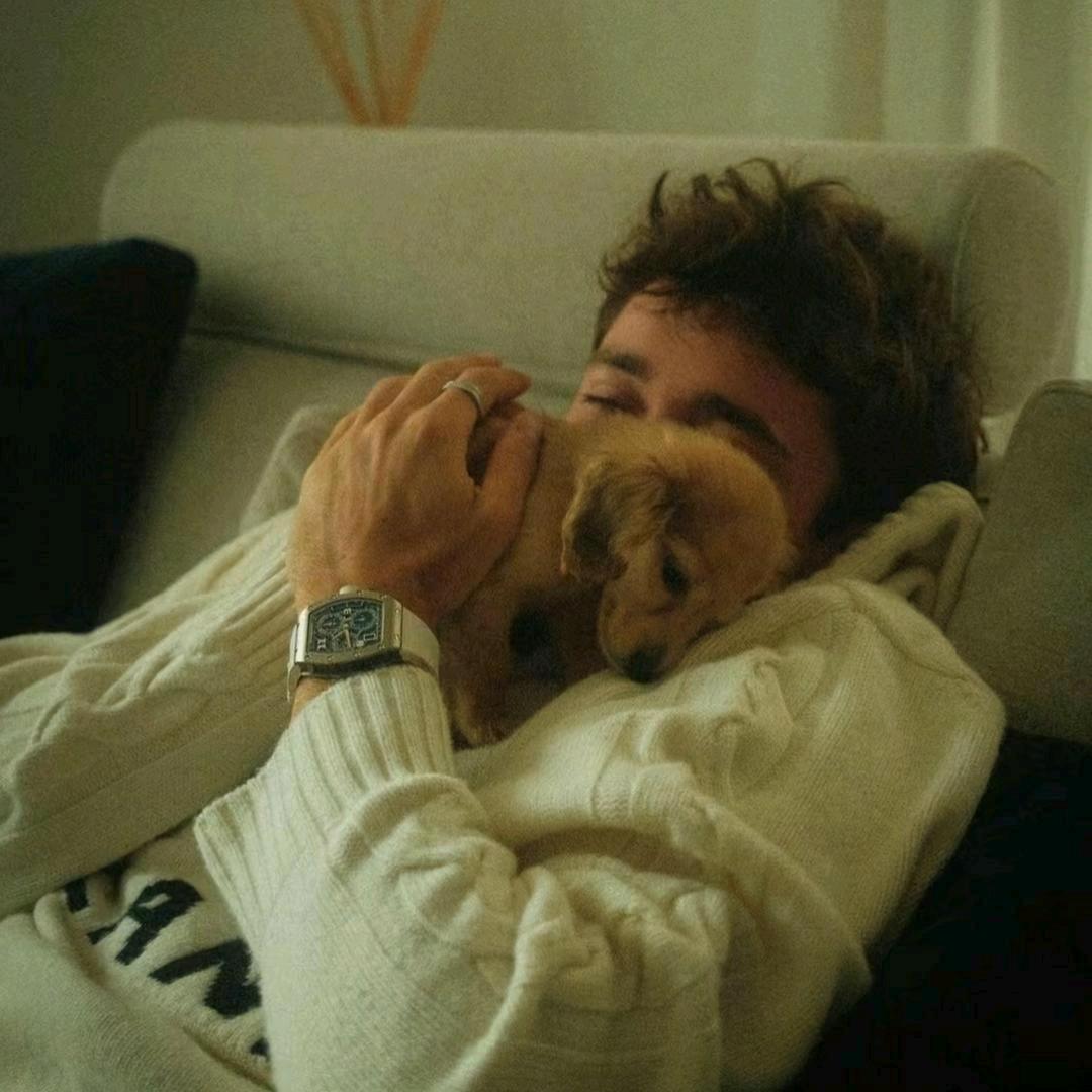 陈了吧（⛰️）