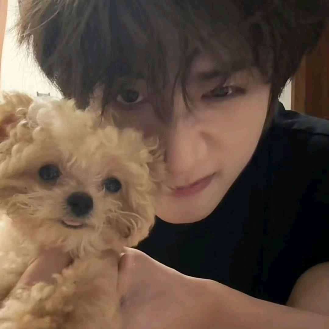 同大招财小叮当