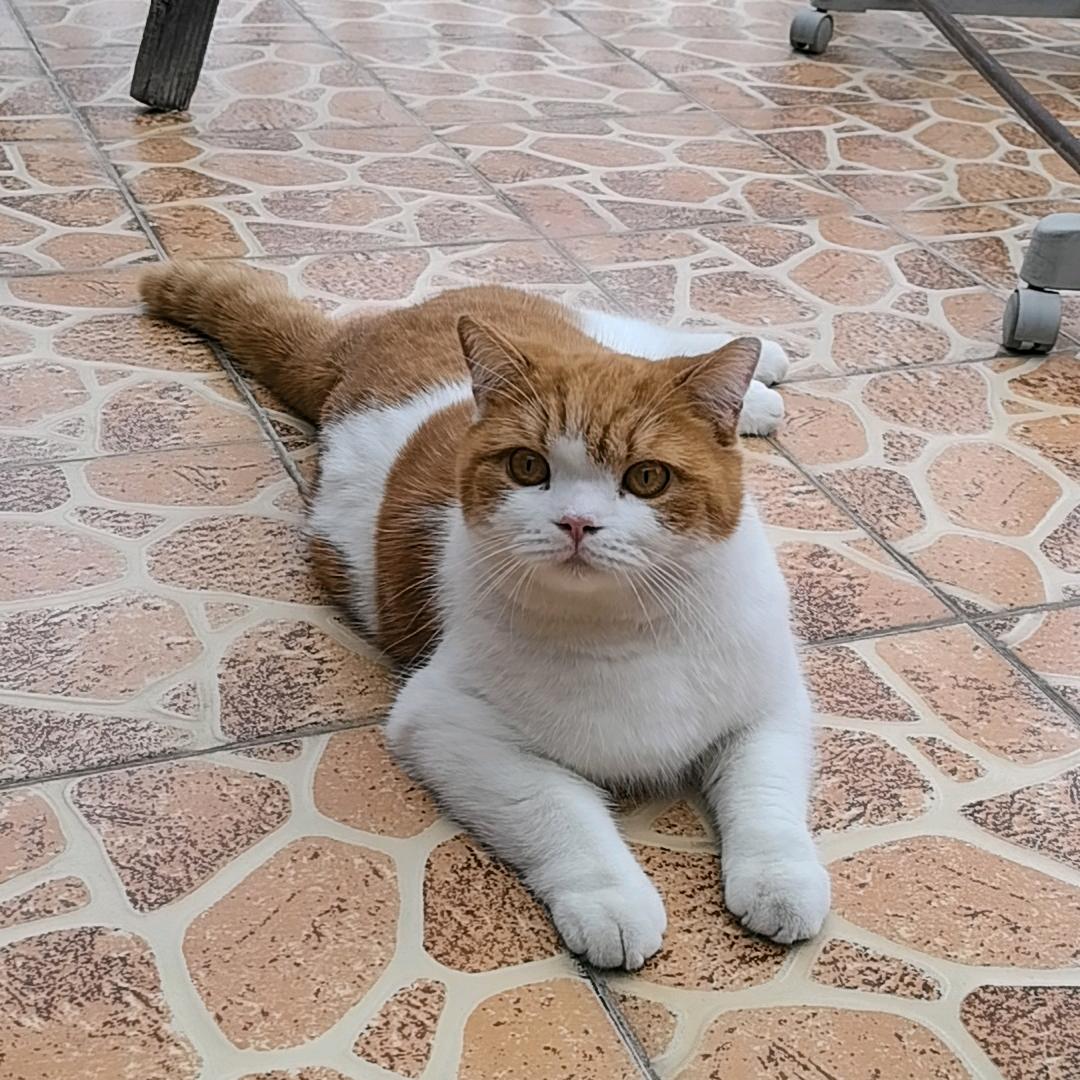 啊。