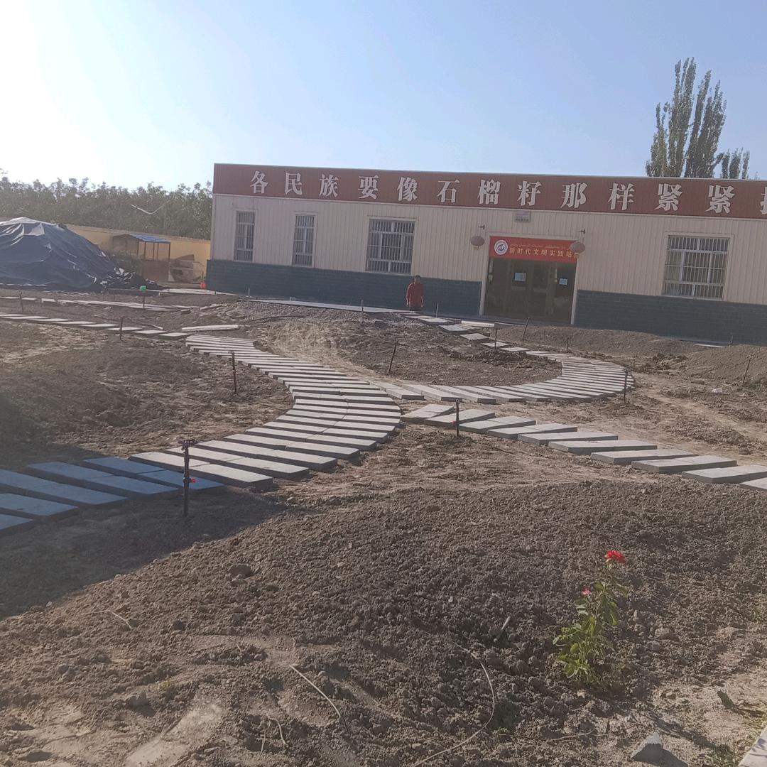 新疆红旗坡种优苹果哥