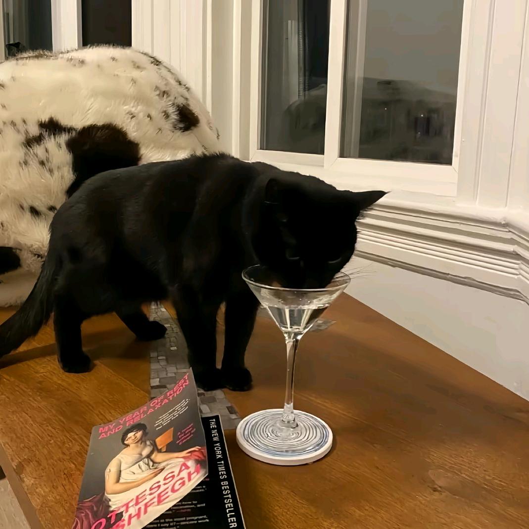 毛绒虎🐾