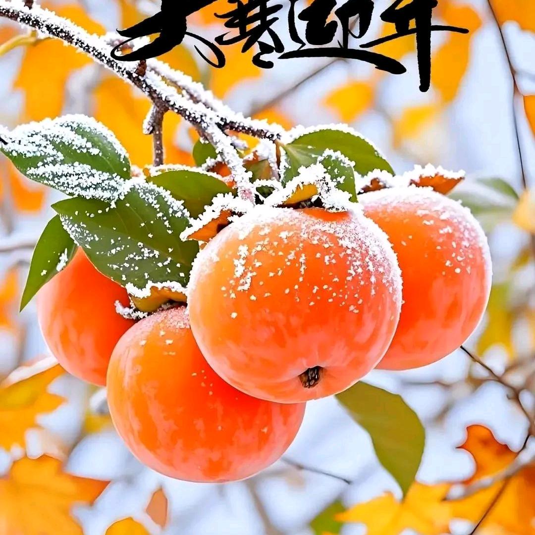 远方的思念