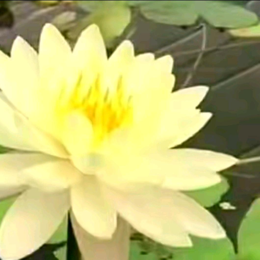 平安快乐