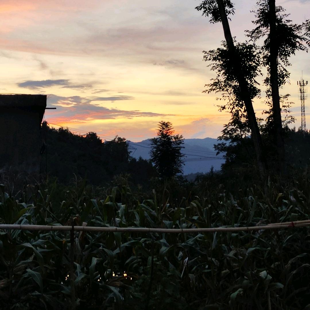 桦佶佶佶佶佶佶佶佶