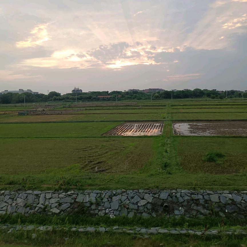 梦幻森林