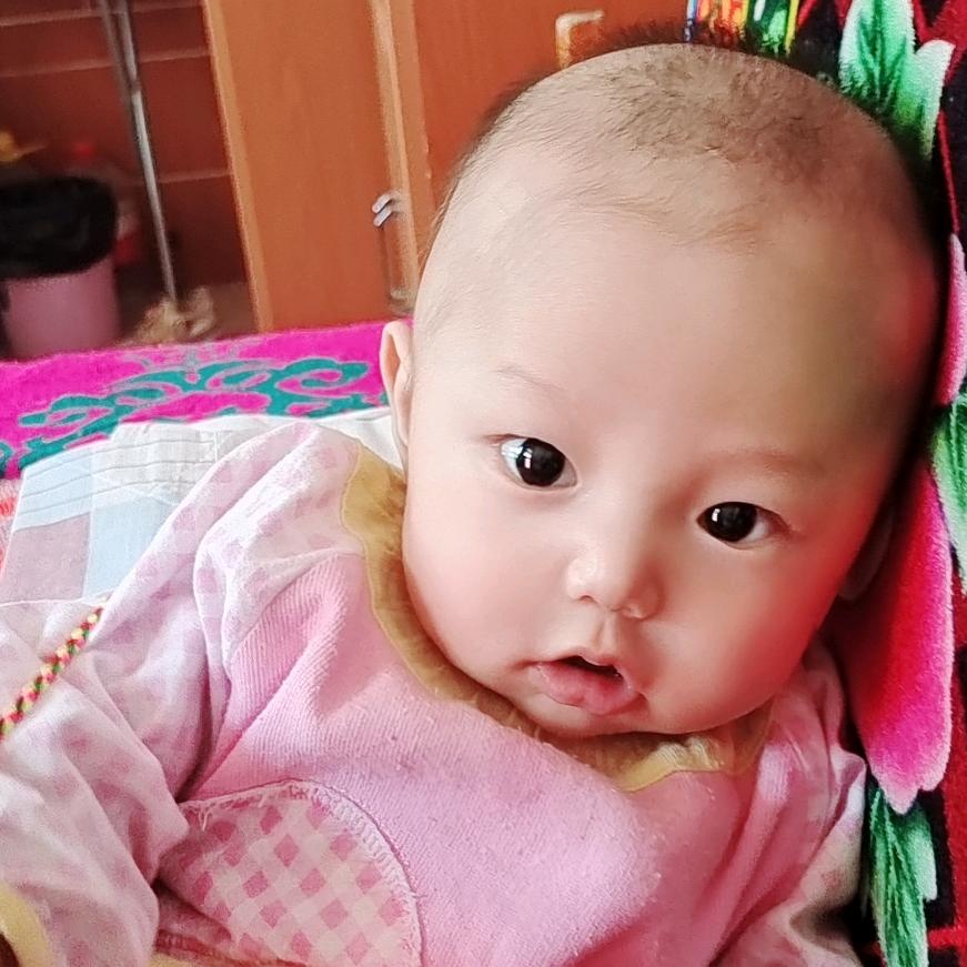 不是