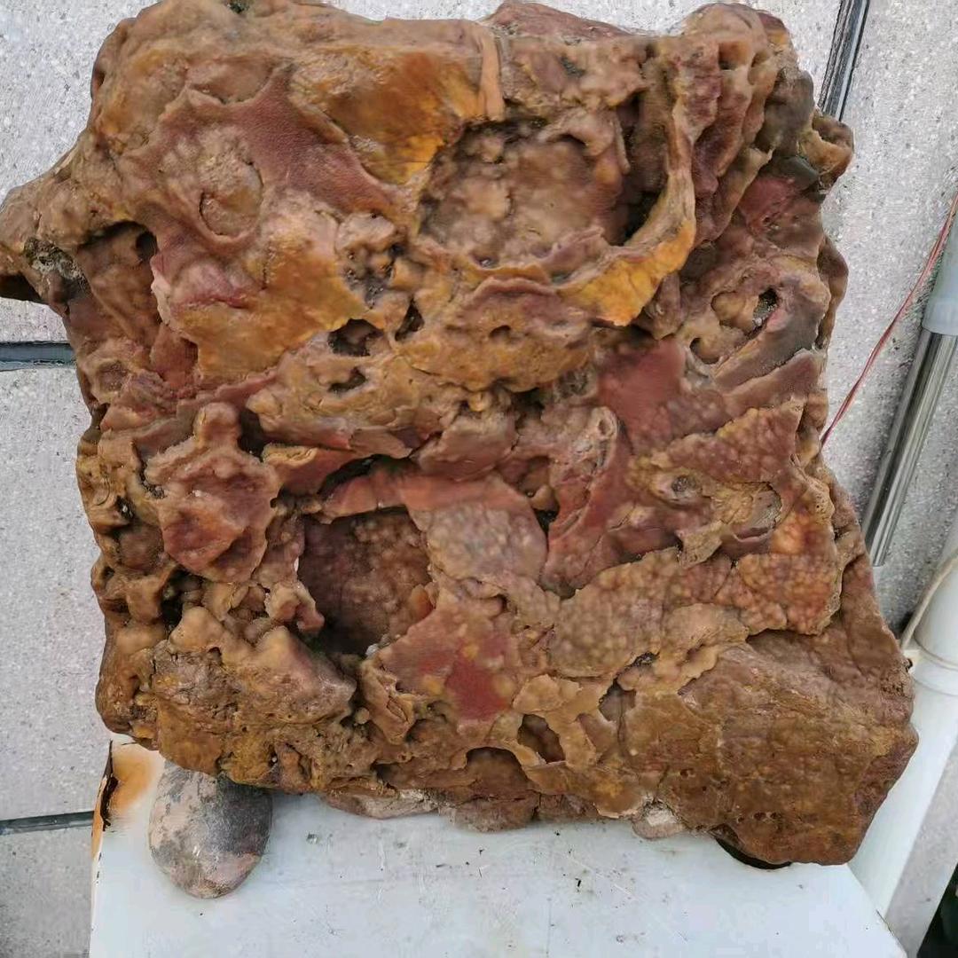 井头山房。季石轩