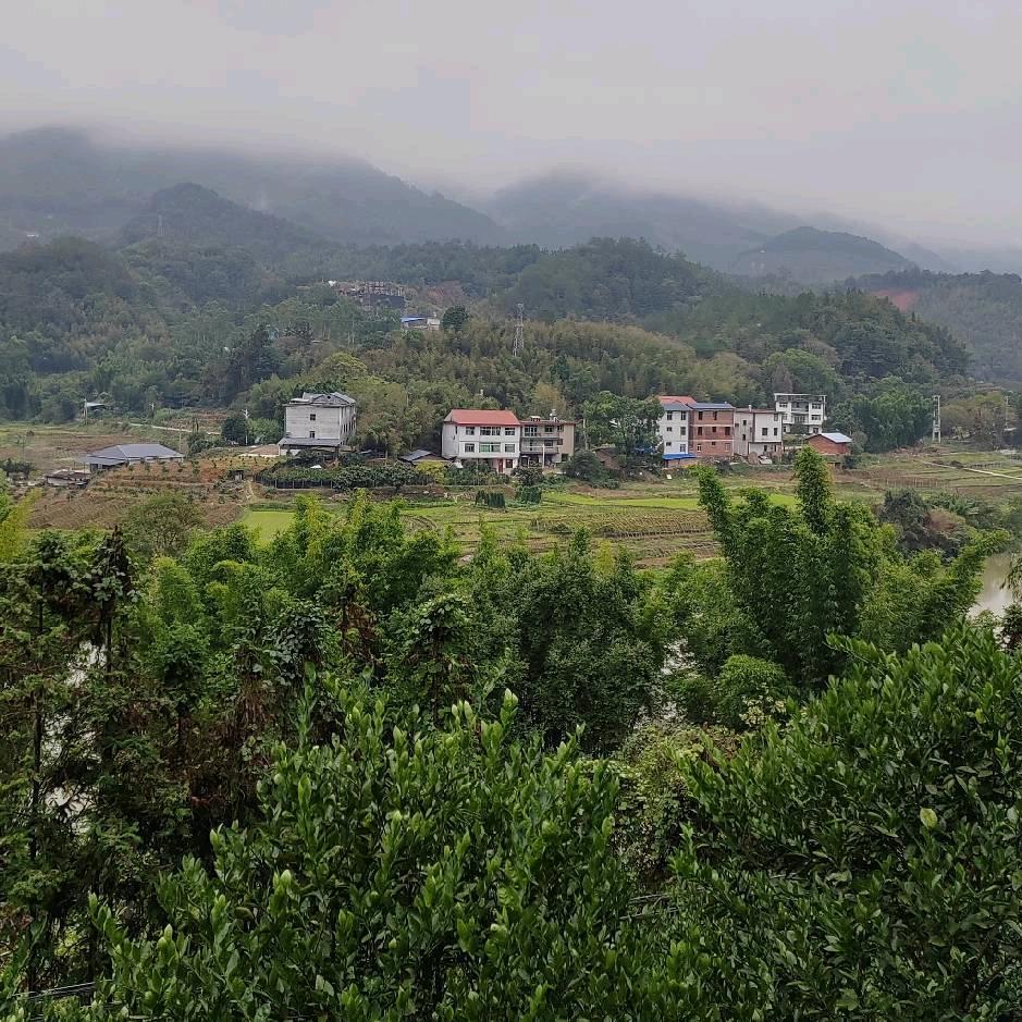 余生静而不争。