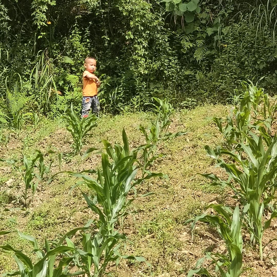 缘❤️❤️来❤️❤️是❤️❤️你