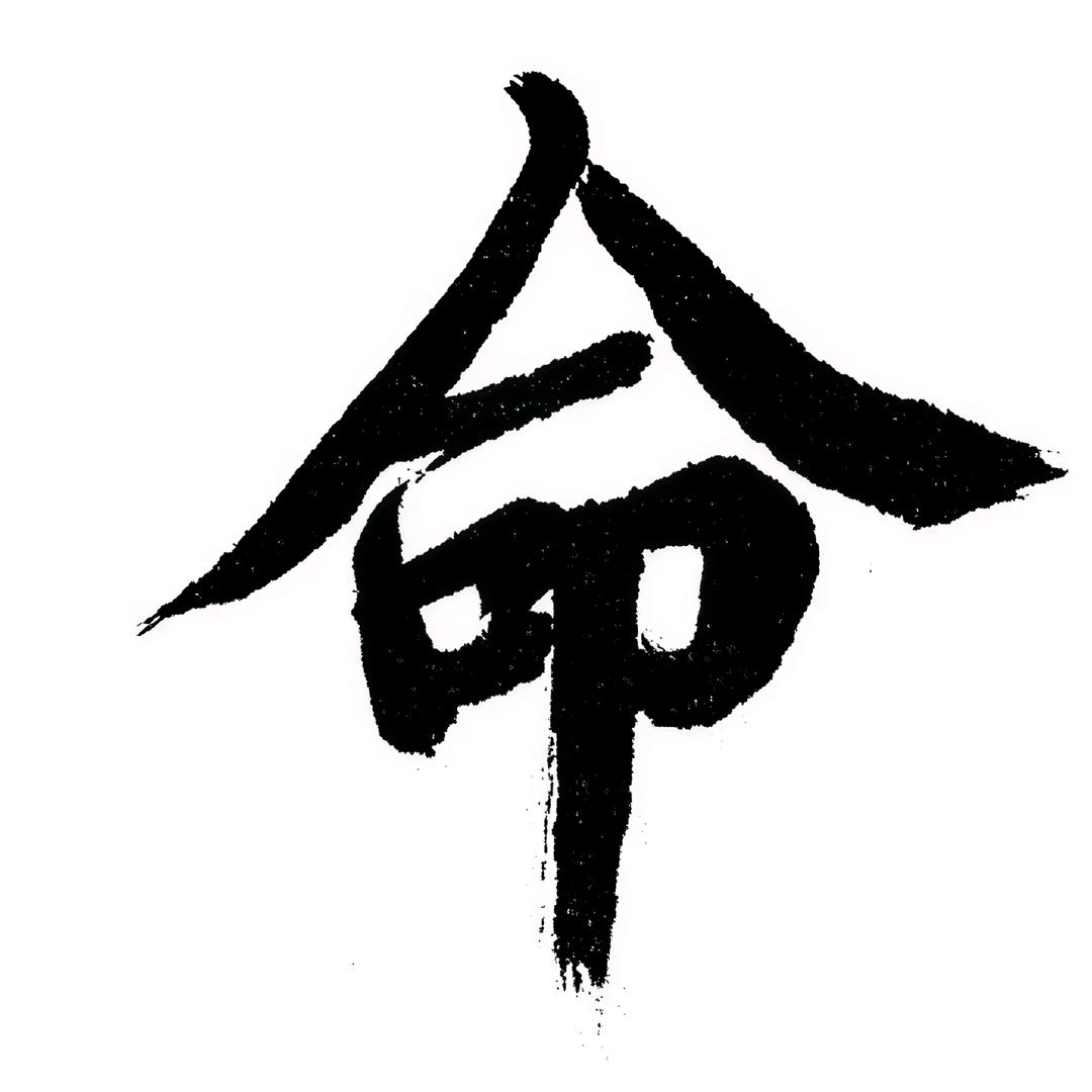 杜玉龙