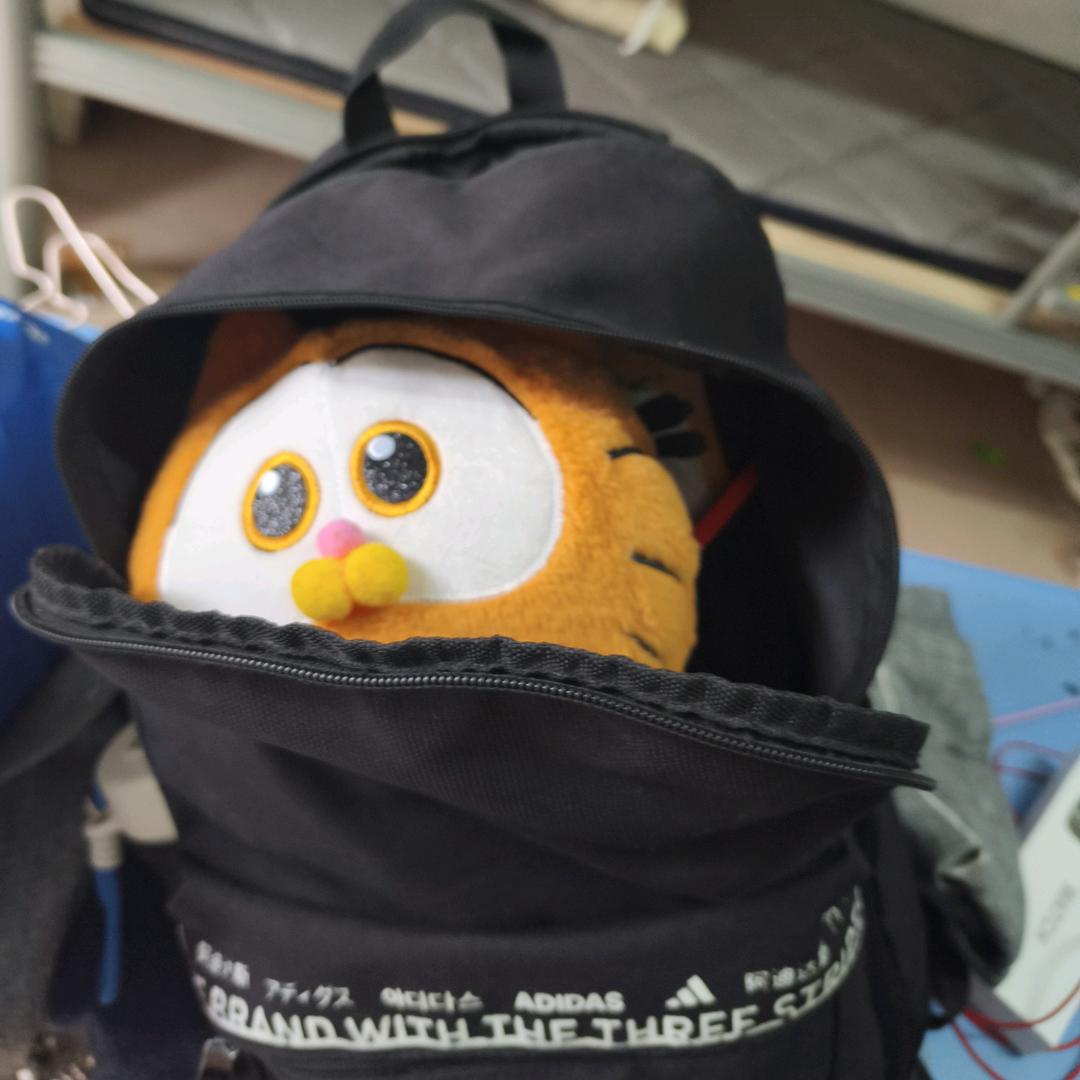 加菲猫