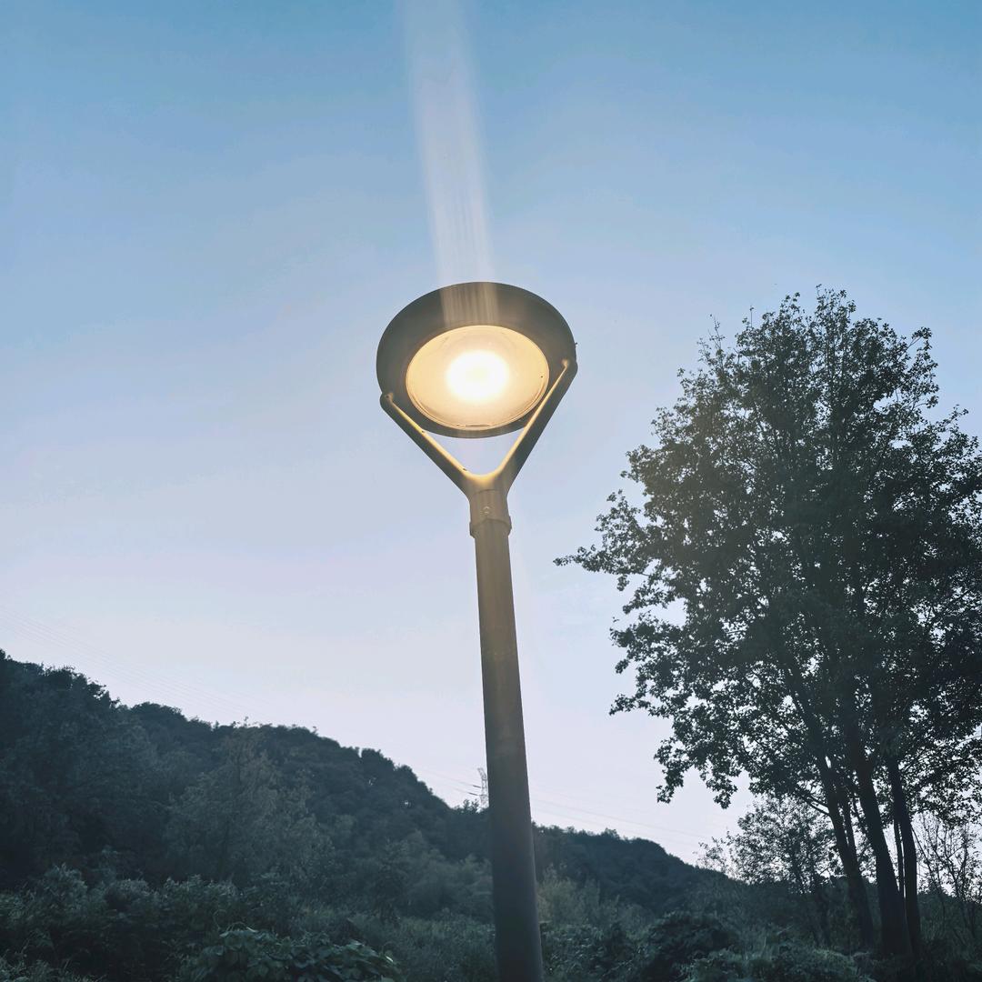 。。。。。。。。