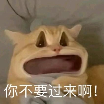 二旬空巢老人