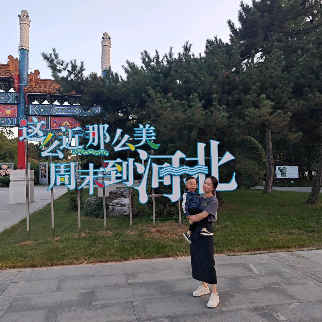 张大大大师