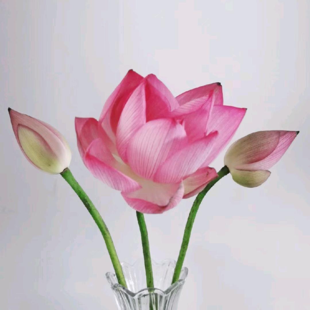 叽里呱啦