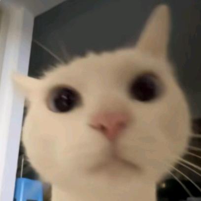 娃哈哈