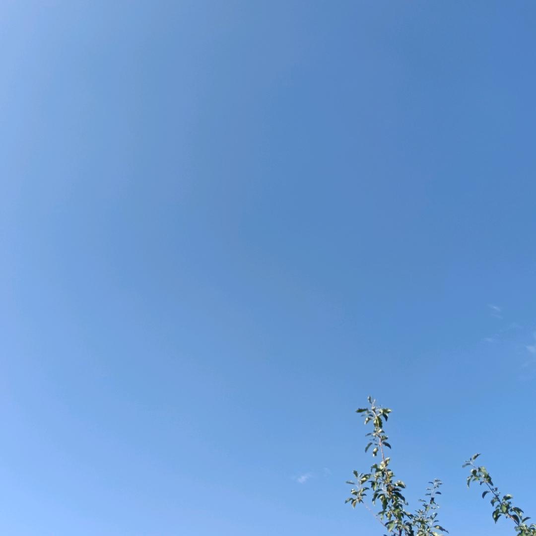 宝宝(●✿∀✿●)