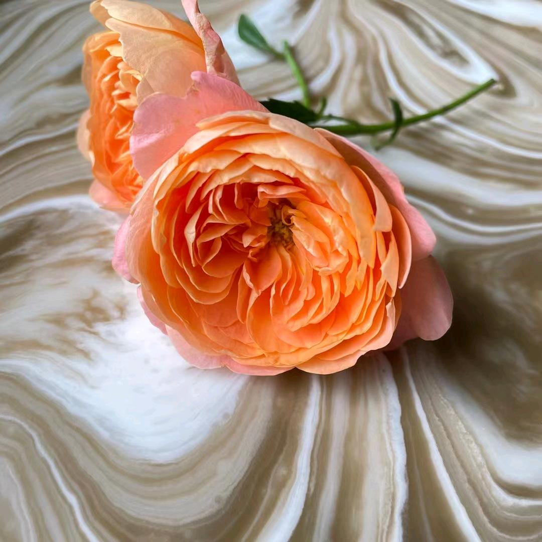 ℒℴѵℯ·ོMayꦿృ༊⁵²⁰