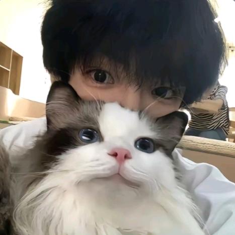 在意.