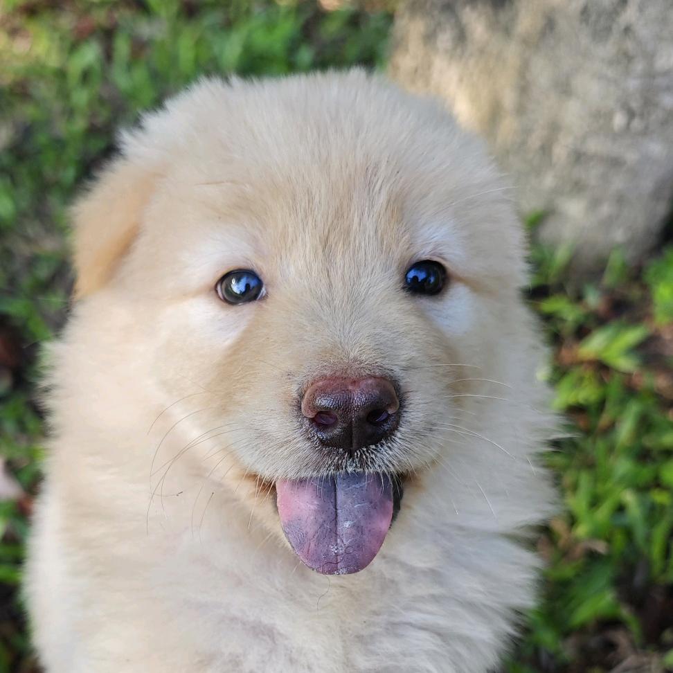 嘻嘻哈哈的嘻嘻