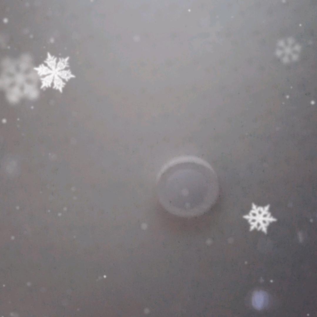 一切向前看。