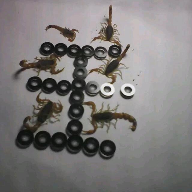 ^O^锁心o>_<o