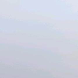 你我它