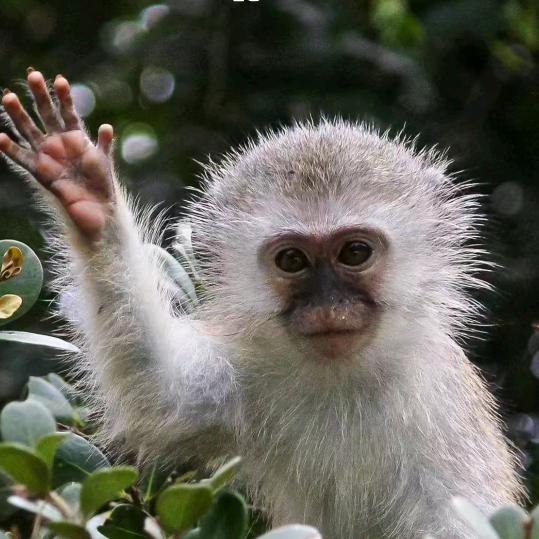 人生不易，且行且珍惜