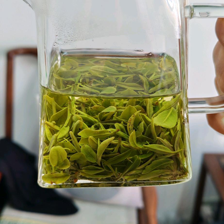 日照绿茶、若熙