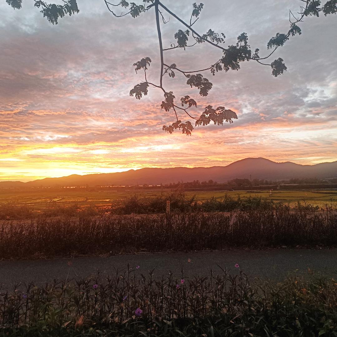 阿萍姐的农村生活