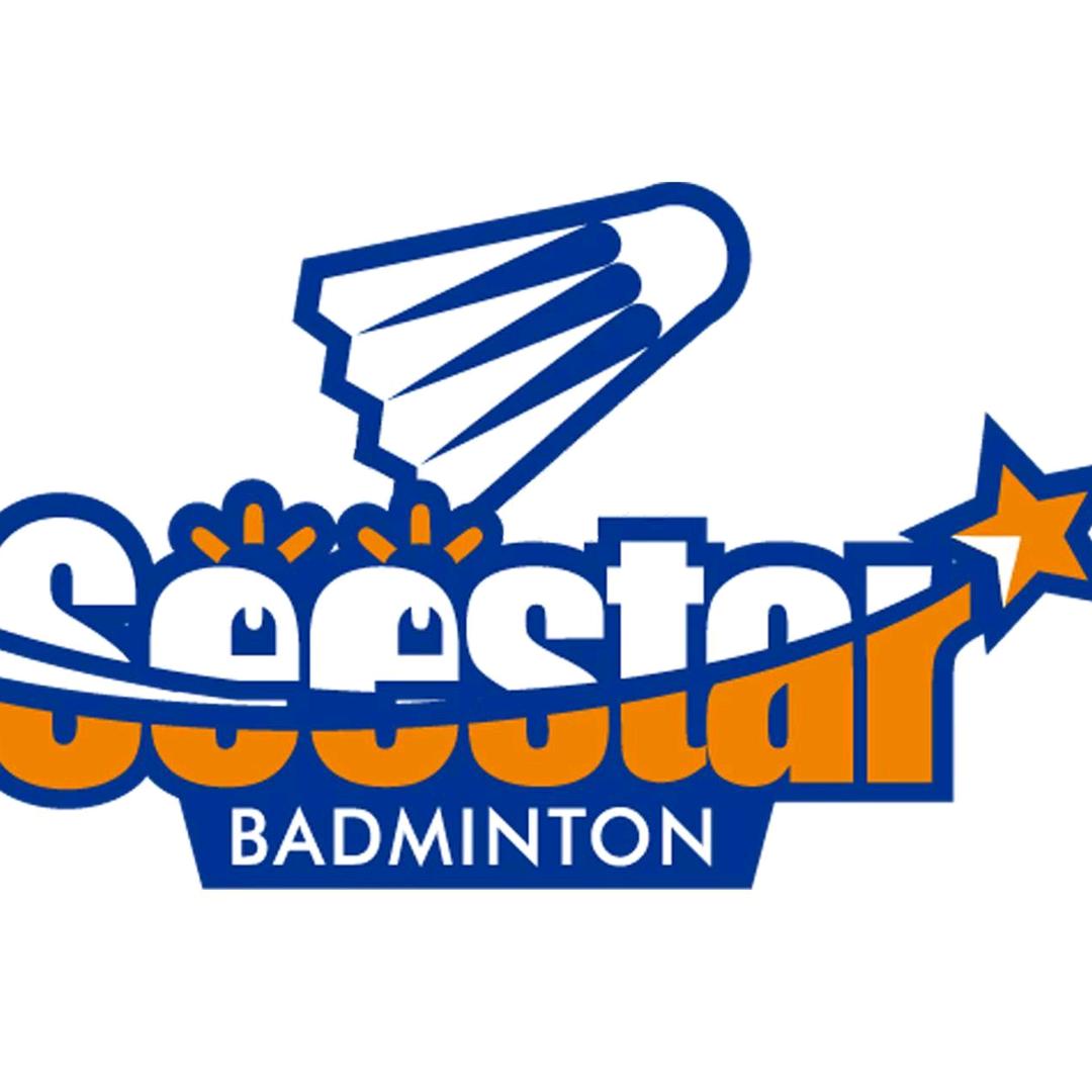 星桥羽毛球壮壮老师