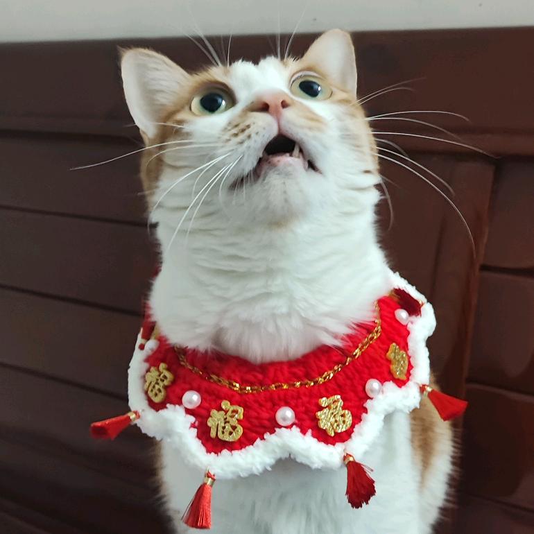 好运珠珠