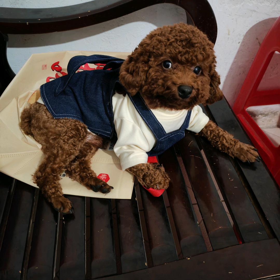 风情摇晃☆余生勿忘😁