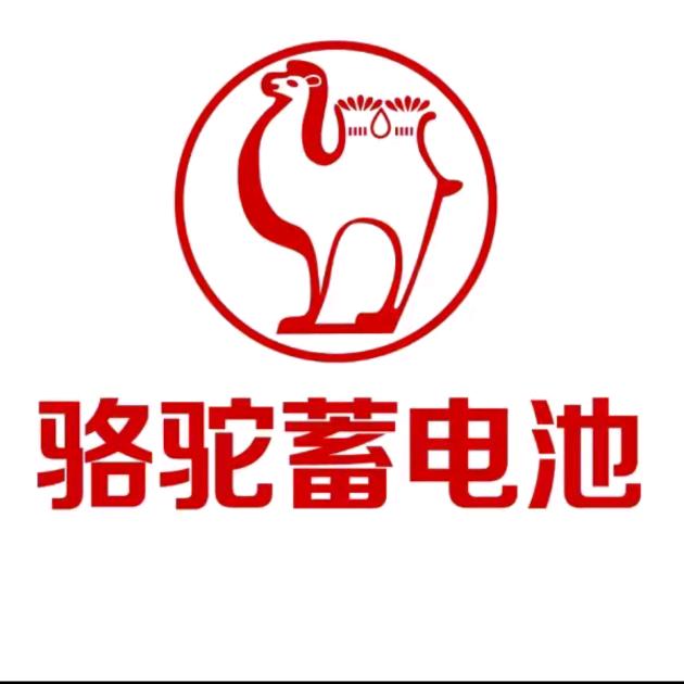骆驼电瓶成都
