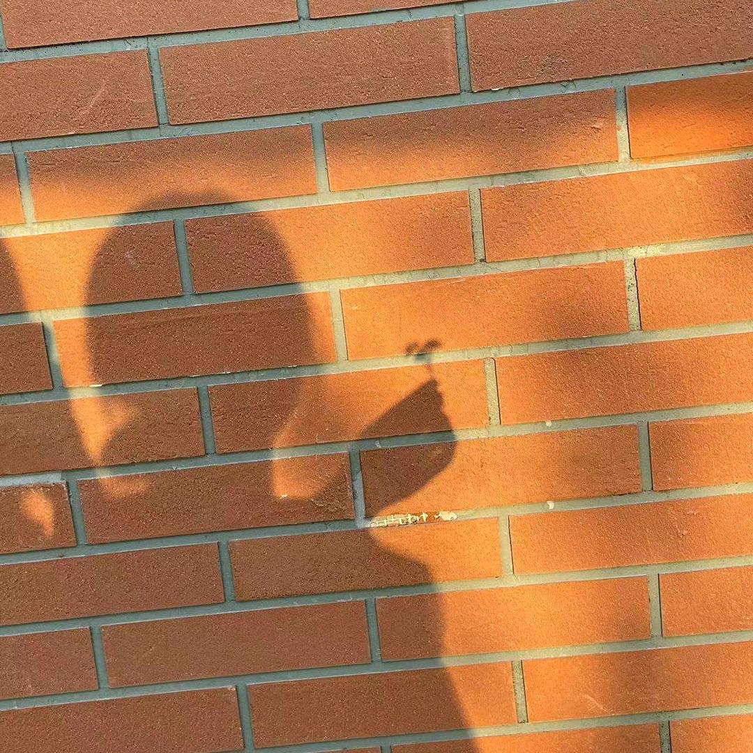 蓝莓没有蓝莓味