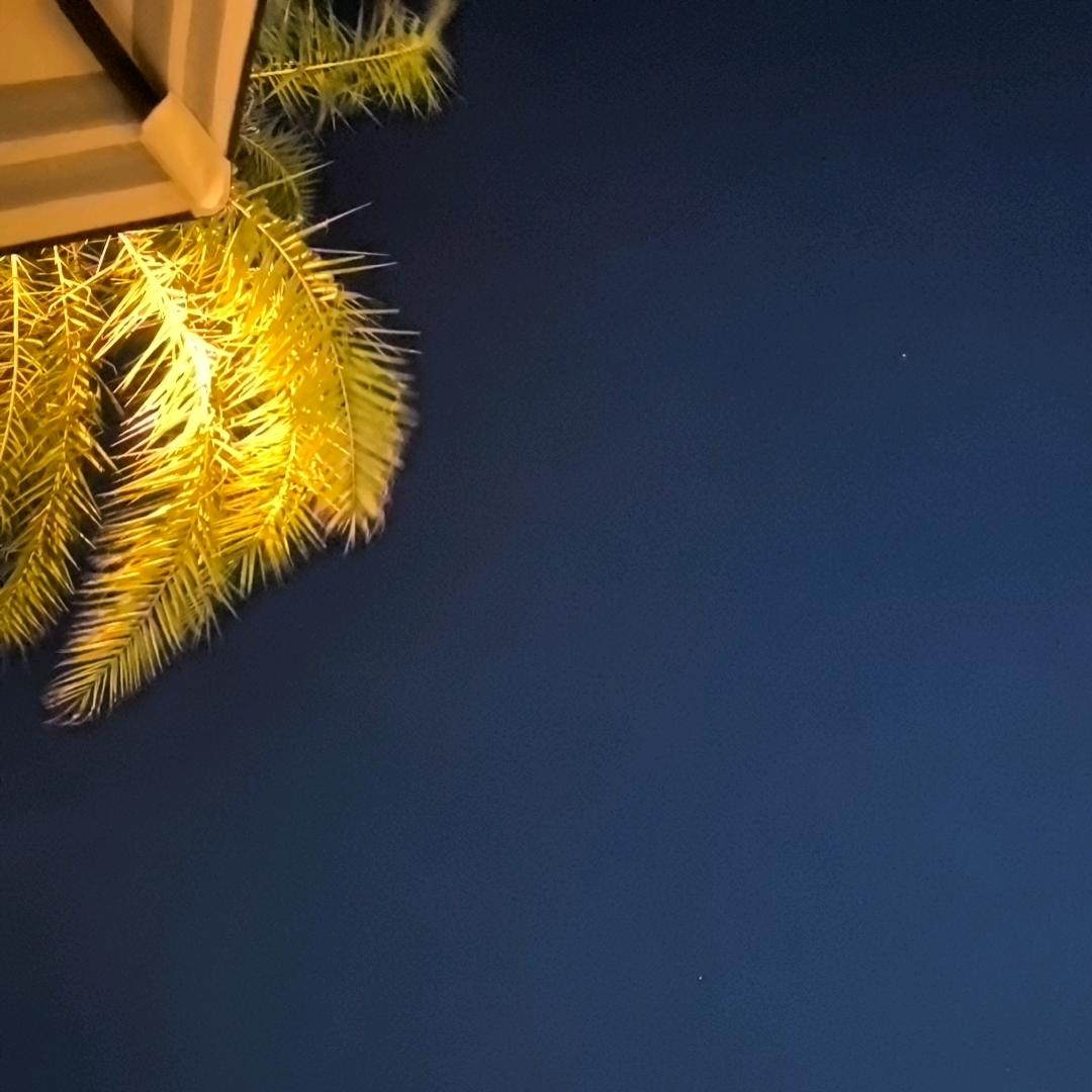 zz