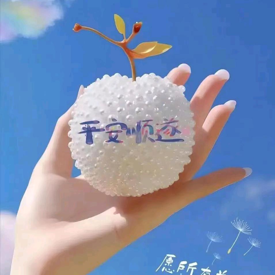 静享孤独