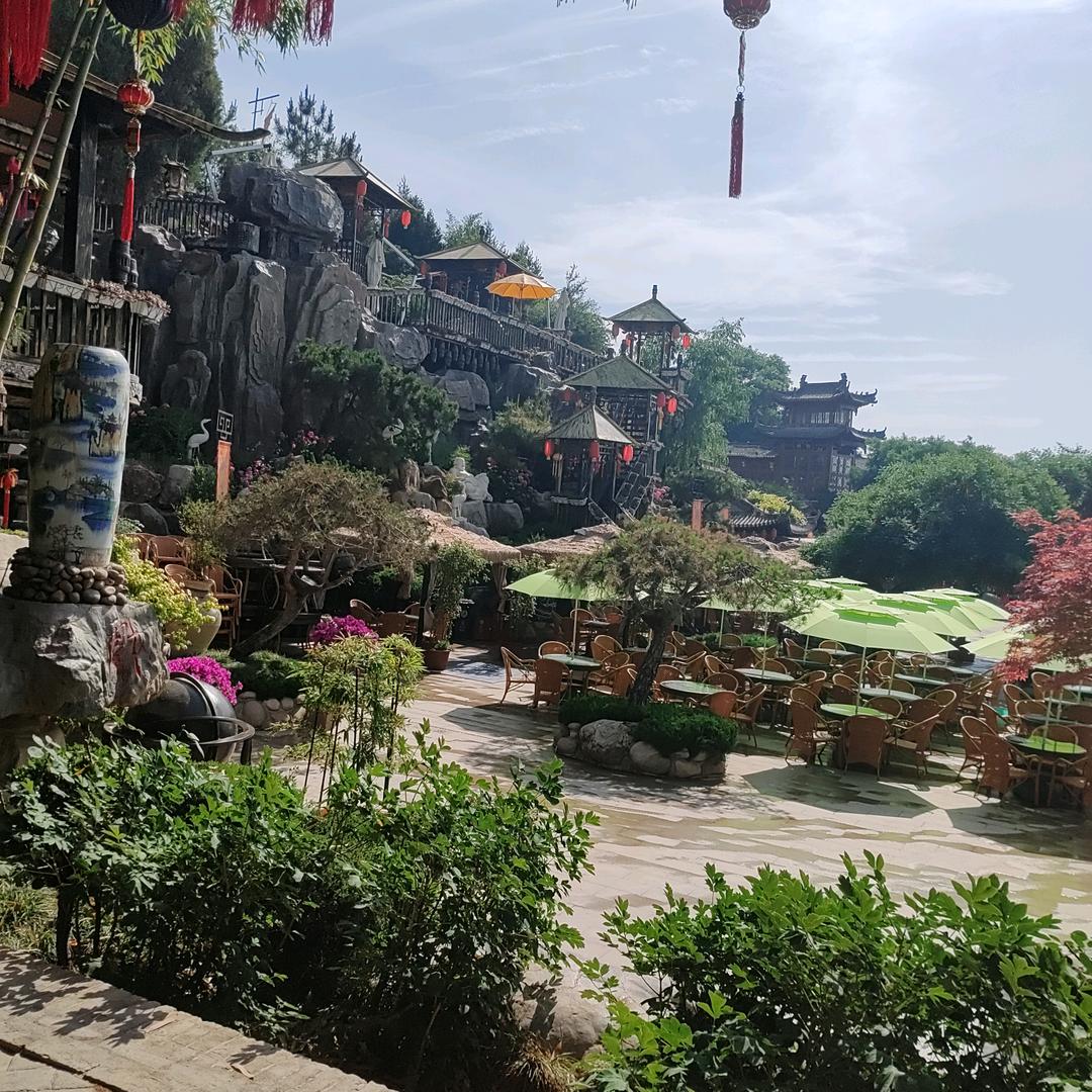 三叶草