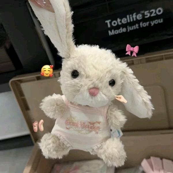 请拍卖一根眉毛吧