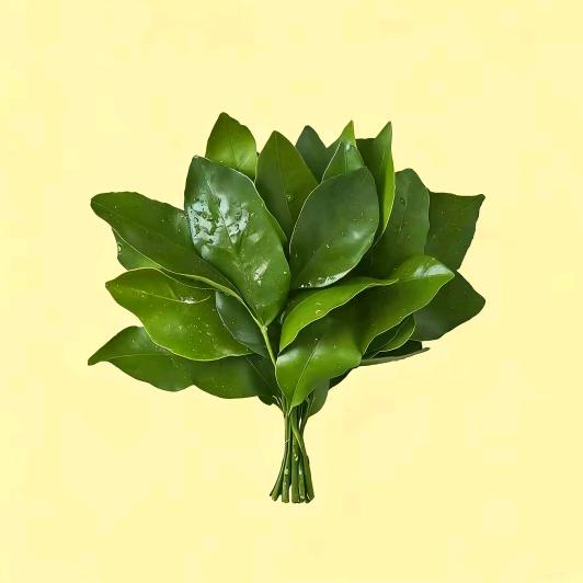 还我修改次数