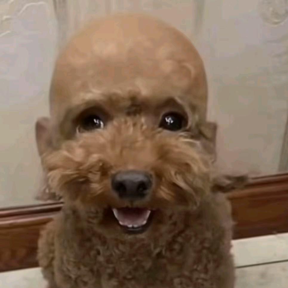 ﹎ゞ࿐࿐࿐࿐╱°