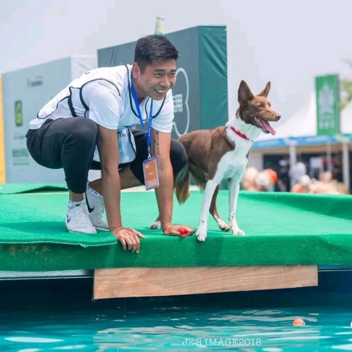 夏社宠物训犬基地