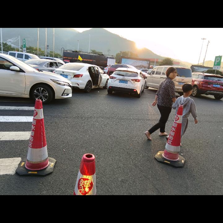 天生有我，做梦中人。張