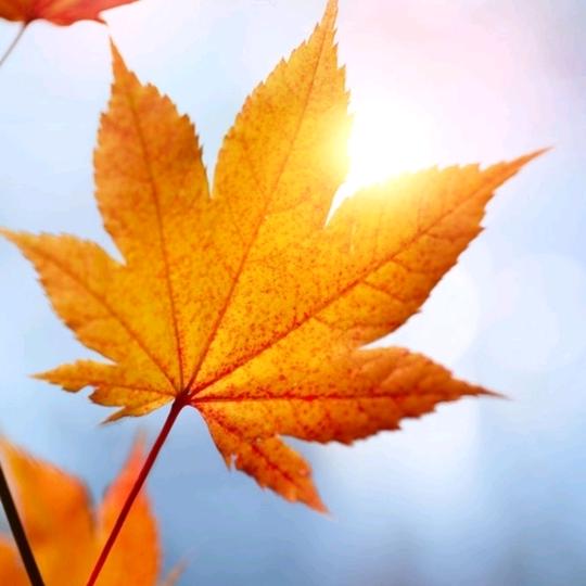 涅槃重生❄️🔥🔥