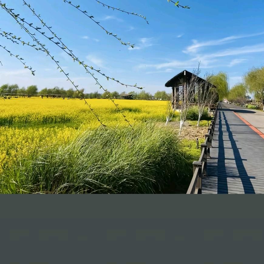 找一个能照亮我的